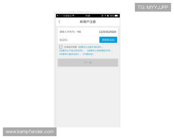 凯时vip网址登录入口详细解析，帮助用户快速找到官方安全通道